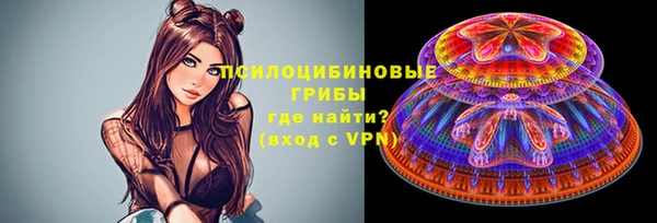 крисы Армянск