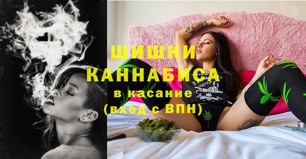 крисы Армянск