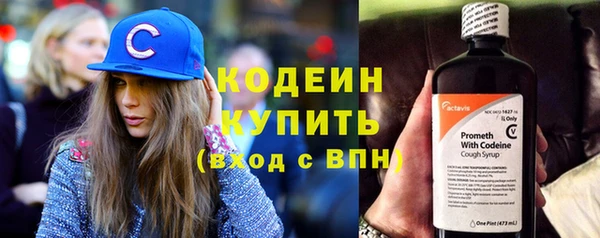 крисы Армянск