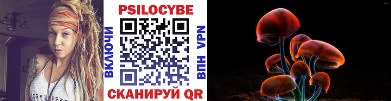 где можно купить   Байкальск  Псилоцибиновые грибы ЛСД 